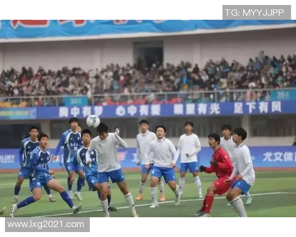 啤酒与足球的激情碰撞让我们在绿茵场上尽情挥洒青春与快乐